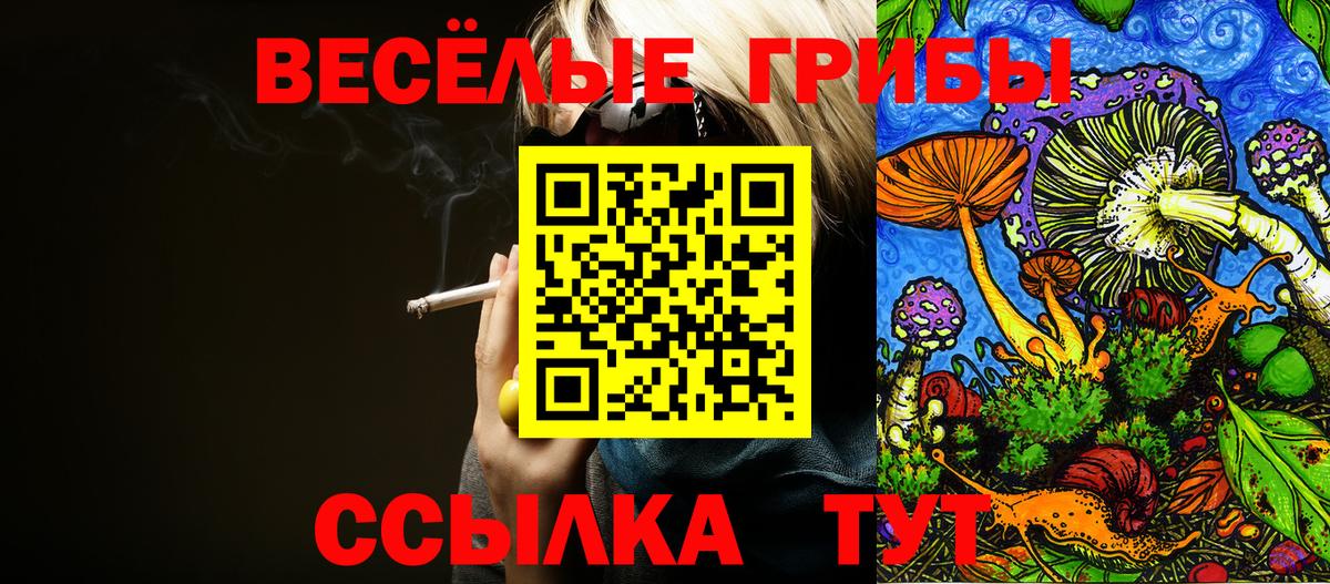 купить   Галлюциногенные грибы мухоморы  Вход с VPN  Якутск  Галлюциногенные грибы Magic Shrooms 